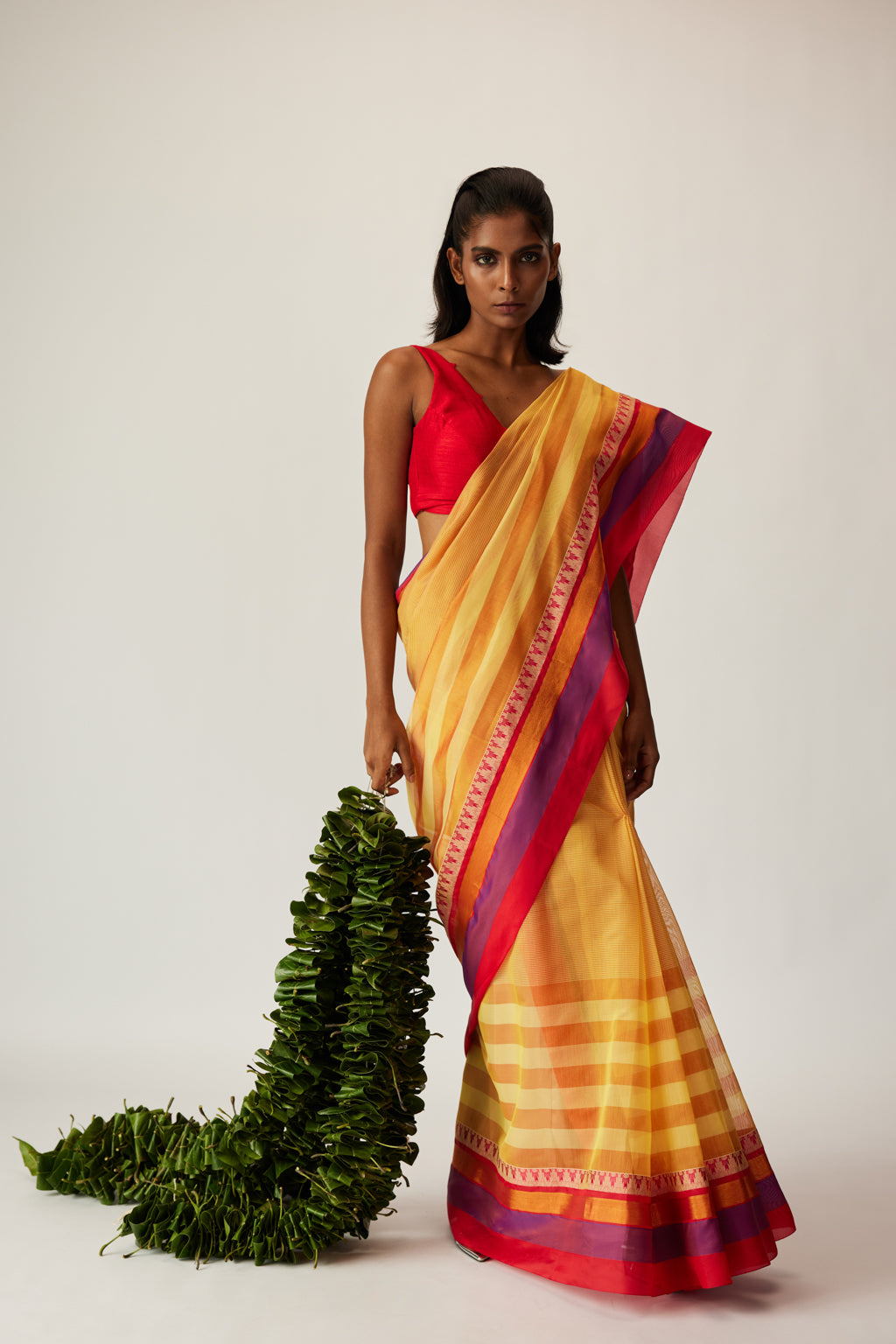 Raya / Border line saree