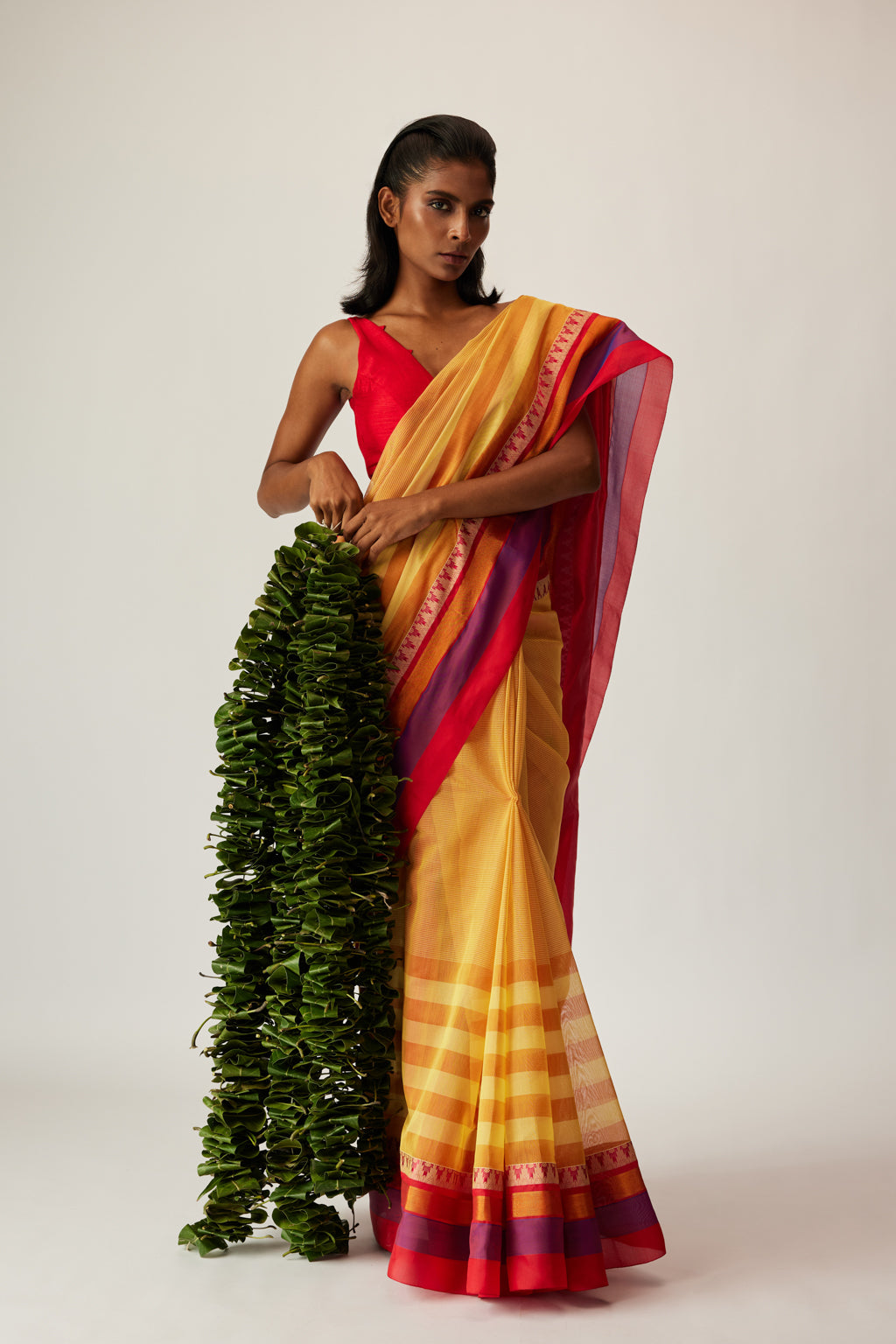 Raya / Border line saree