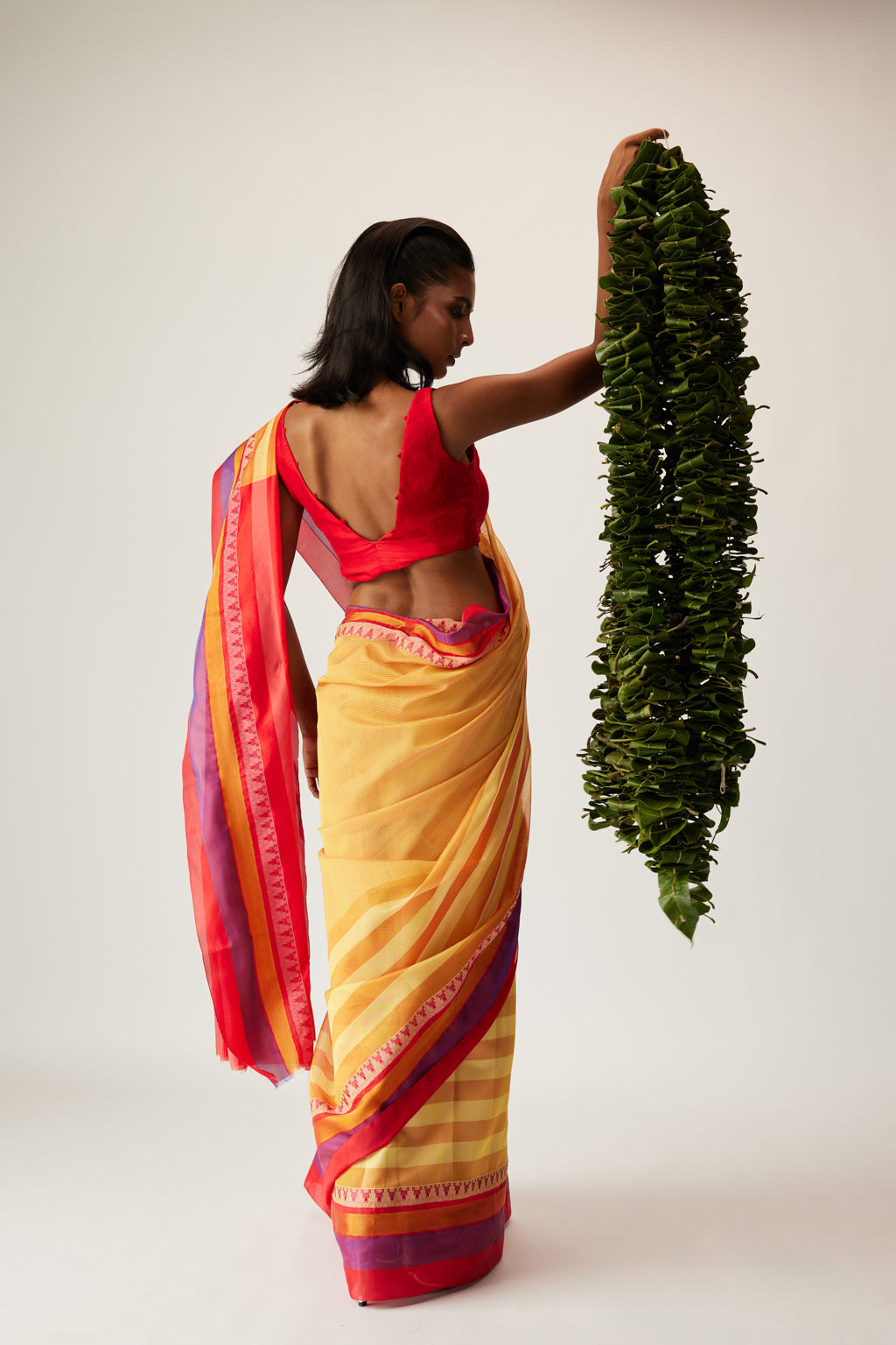 Raya / Border line saree