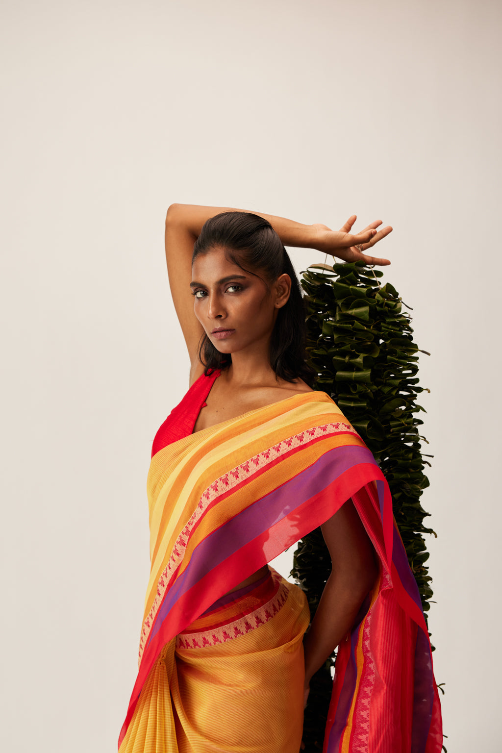 Raya / Border line saree